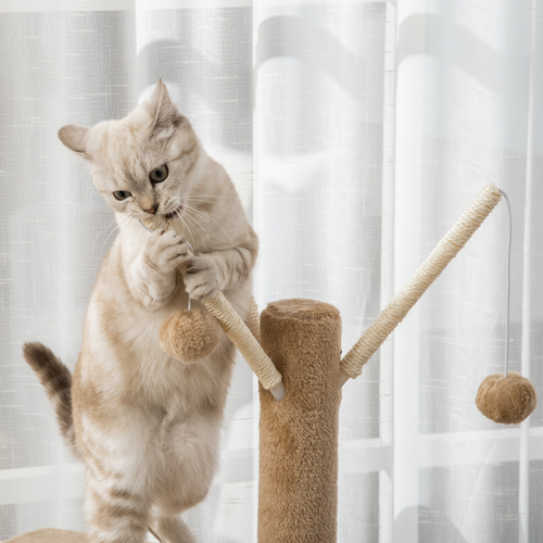 Katloom Activity Tree with Scratching Posts, Bed and Tunnel - Beige