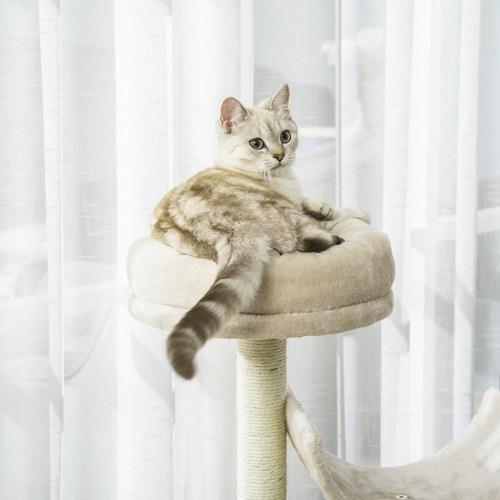 Katloom Comfy Abstract Cat Tree with Scratching Posts and Beds - Beige